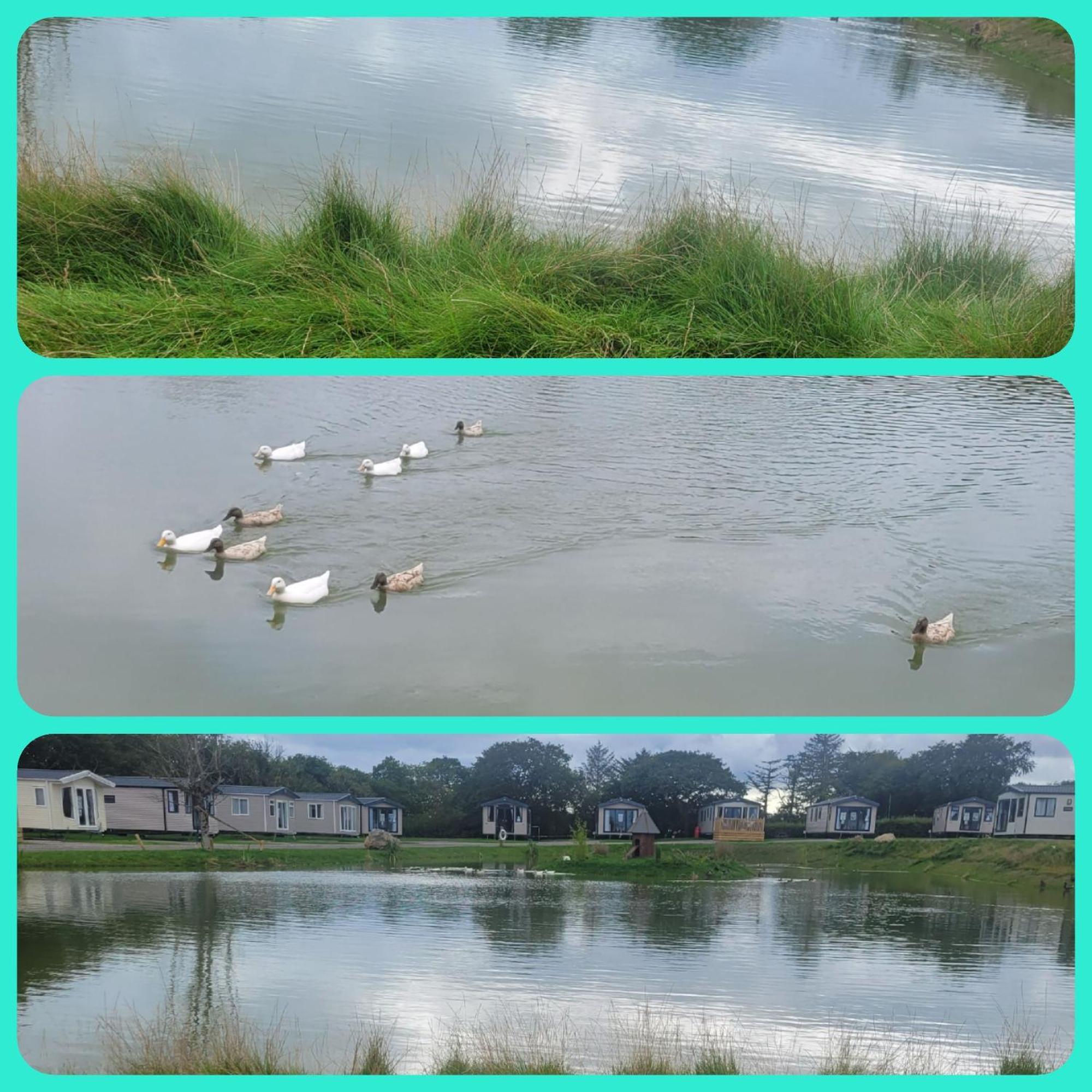 Beautiful 2 Bedroom Caravan, Holiday Park Tenby Saint Florence Экстерьер фото